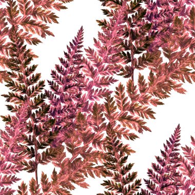 Eğrelti otu yapraklı suluboya desenli. Yaprak süsleme. Klasik botanik egzotik resim duvar kâğıdı.