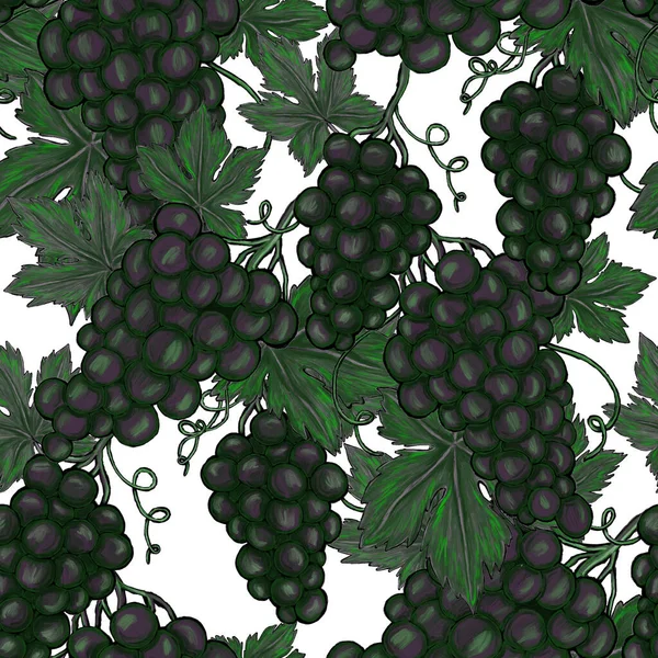 Creatief Naadloos Patroon Met Druiven Olieverf Effect Heldere Zomerprint Geweldig — Stockfoto