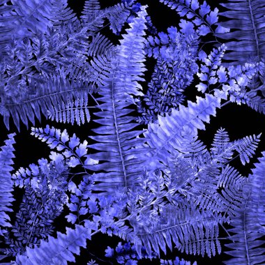 Eğrelti otu yapraklı suluboya desenli. Yaprak süsleme. Klasik botanik egzotik resim duvar kâğıdı.