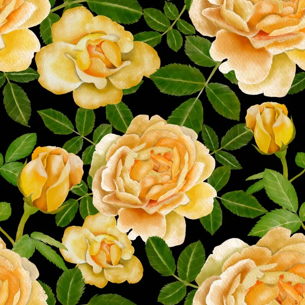Акварельний Безшовний Візерунок Трояндами — стокове фото