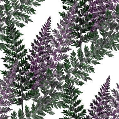 Eğrelti otu yapraklı suluboya desenli. Yaprak süsleme. Klasik botanik egzotik resim duvar kâğıdı.