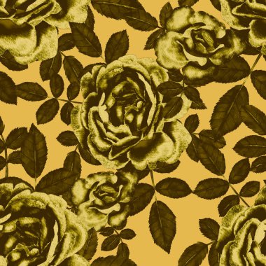 Sulu Boya Dikişsiz desen Güllü