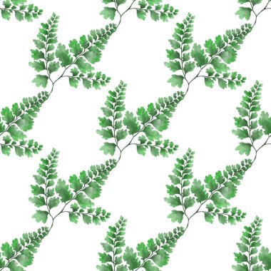 Eğrelti otu yapraklı suluboya desenli. Yaprak süsleme. Klasik botanik egzotik resim duvar kâğıdı.