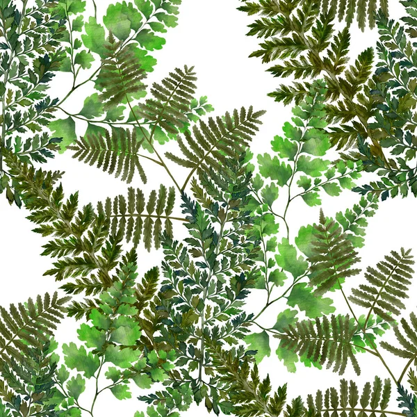 Watercolor Seamless Pattern Fern Leaves Foliage Decoration Vintage Botanical Exotic — Stock Photo, Image