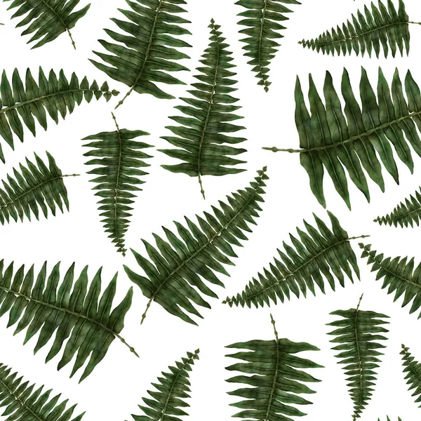 Watercolor Seamless Pattern Fern Leaves Foliage Decoration Vintage Botanical Exotic — Stockfoto