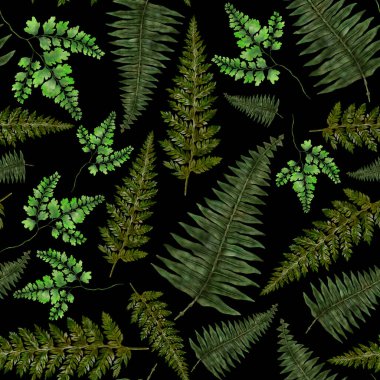 Eğrelti otu yapraklı suluboya desenli. Yaprak süsleme. Klasik botanik egzotik resim duvar kâğıdı.