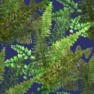 Eğrelti otu yapraklı suluboya desenli. Yaprak süsleme. Klasik botanik egzotik resim duvar kâğıdı.