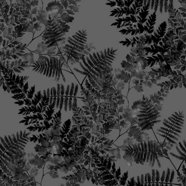 Акварельний Безшовний Візерунок Листям Папороті Оздоблення Стовбура Вінтажні Ботанічні Екзотичні — стокове фото