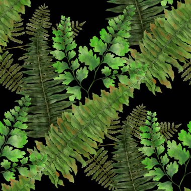 Eğrelti otu yapraklı suluboya desenli. Yaprak süsleme. Klasik botanik egzotik resim duvar kâğıdı.