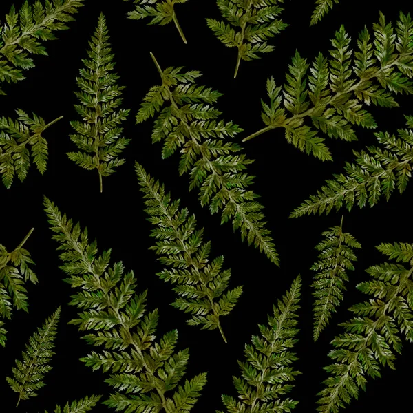 Watercolor Seamless Pattern Fern Leaves Foliage Decoration Vintage Botanical Exotic — Stockfoto