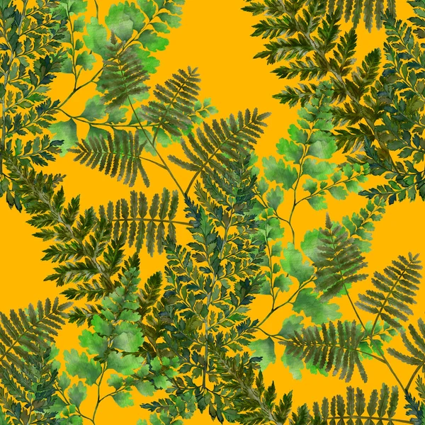 Akvarel Bezešvný Vzor Kapradím Listy Ovocná Výzdoba Ročník Botanické Exotické — Stock fotografie
