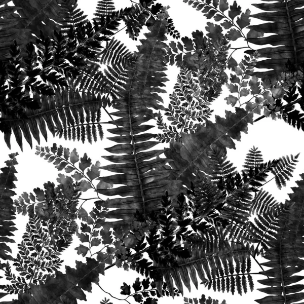 Watercolor Seamless Pattern Fern Leaves Foliage Decoration Vintage Botanical Exotic — Stockfoto
