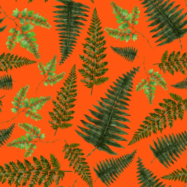 Watercolor Seamless Pattern Fern Leaves Foliage Decoration Vintage Botanical Exotic — Stockfoto