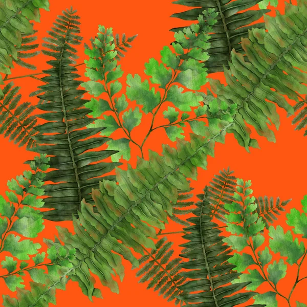 Watercolor Seamless Pattern Fern Leaves Foliage Decoration Vintage Botanical Exotic — Stockfoto