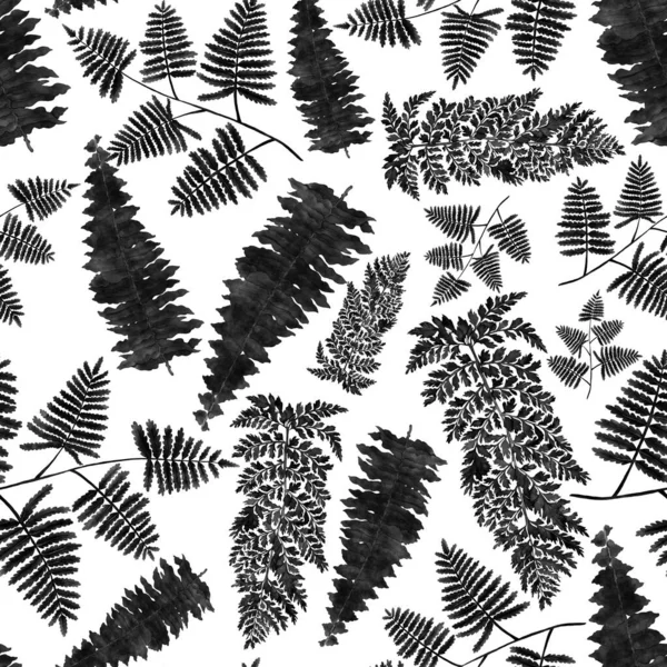 Watercolor Seamless Pattern Fern Leaves Foliage Decoration Vintage Botanical Exotic — Stockfoto