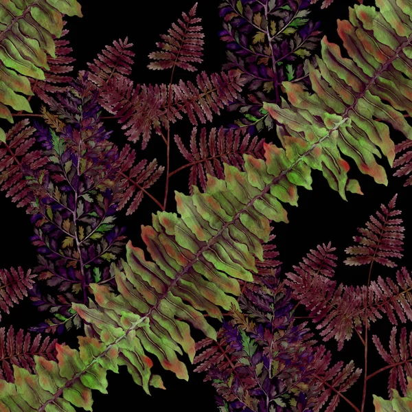 색깔의 솔기없는 무늬와 양치식물의 납골당 고전적 식물학적 — 스톡 사진