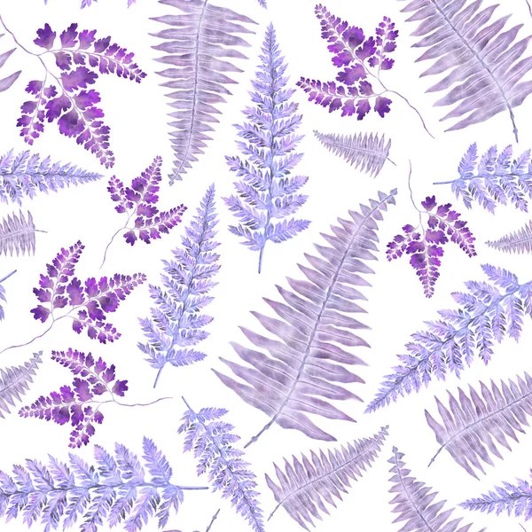 색깔의 솔기없는 무늬와 양치식물의 납골당 고전적 식물학적 — 스톡 사진