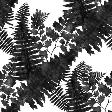 Eğrelti otu yapraklı suluboya desenli. Yaprak süsleme. Klasik botanik egzotik resim duvar kâğıdı.