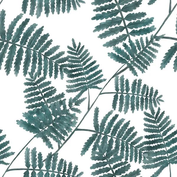 Watercolor Seamless Pattern Fern Leaves Foliage Decoration Vintage Botanical Exotic — 图库照片