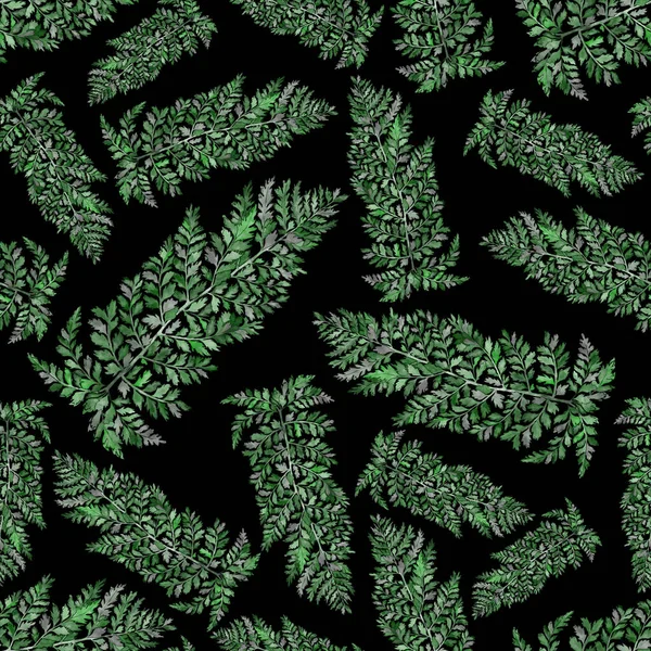 Watercolor Seamless Pattern Fern Leaves Foliage Decoration Vintage Botanical Exotic — Stockfoto