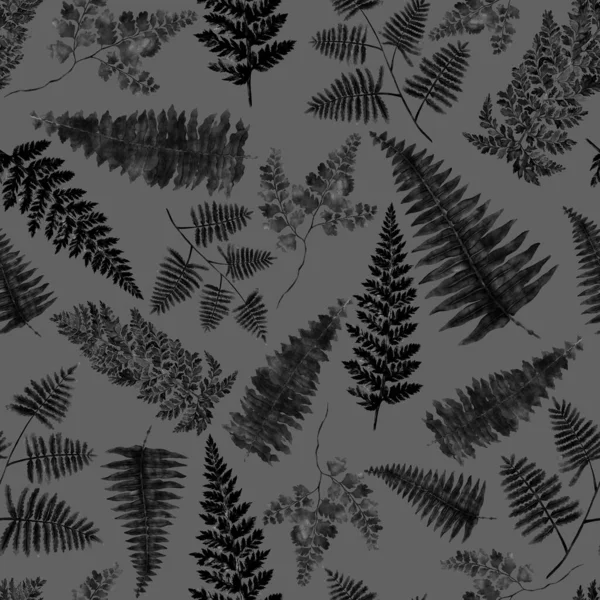 Watercolor Seamless Pattern Fern Leaves Foliage Decoration Vintage Botanical Exotic — 图库照片