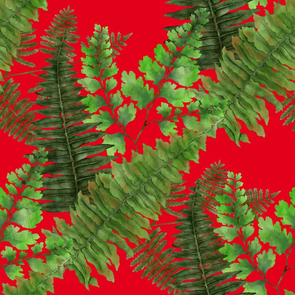 Watercolor Seamless Pattern Fern Leaves Foliage Decoration Vintage Botanical Exotic — Stockfoto