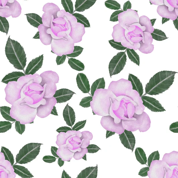 Watercolor Seamless Pattern Roses — Stock Photo, Image