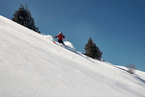 Esquiador Freeride Faz Uma Curva Neve Dia Ensolarado Foto Alta — Fotografia de Stock