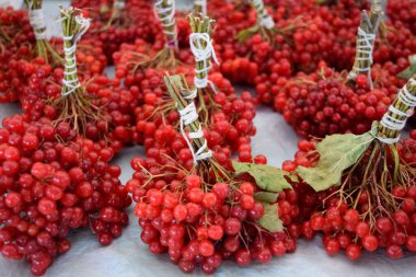 Orman meyvesi. Kızılcık, sağlık ve sonbahar için.