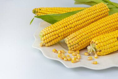 Maize. Green corn on the plate. Concept is a plant that is rich in food nutrition. It has a lot of carbohydrates, dietary fiber, vitamins and minerals. Space for text
