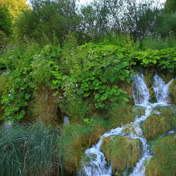 Mountain streams divesify our journeys