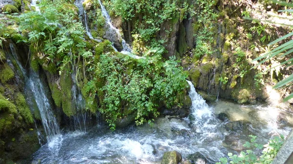 11番 山の中の小さな滝 — ストック写真