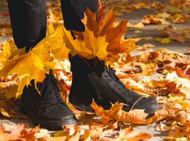 Sonbahar yapraklı botlar. Sonbahar grafiği.