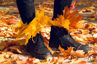 Sonbaharda köpeğiyle parkta yürüyen bir kadın. Kadın ve Xolo köpeği..