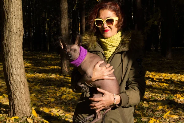 Mujer Con Perro Paseando Parque Otoño Mujer Con Perro Xolo —  Fotos de Stock