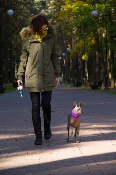 Mujer Con Perro Paseando Parque Otoño Mujer Perro Xolo —  Fotos de Stock