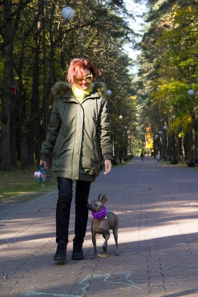 Kvinna Med Sin Hund Som Går Parken Hösten Kvinna Och — Stockfoto
