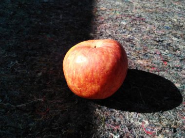 high view of one red apple placed on the carpet.Apples are known to be low in calories and contain a variety of vitamins and minerals, such as vitamin A, vitamin B6, vitamin C, and potassium.