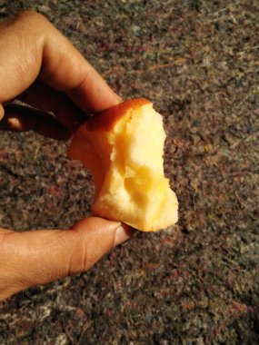 high view of a red apple that has been bitten or eaten that is held with the fingersApples are known to be low in calories and contain a variety of vitamins and minerals, such as vitamin A, vitamin B6, vitamin C, and potassium.