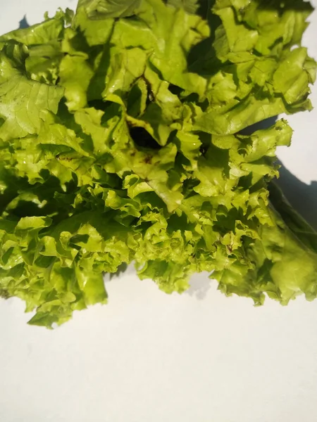 High View Lettuce Isolated White Background Lettuce Sla Leaves Vegetable — Stockfoto