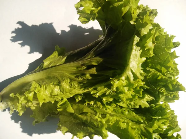 High View Lettuce Isolated White Background Lettuce Sla Leaves Vegetable — Stockfoto