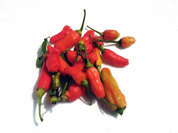 Chili Isolated White Background Chili Fruit Plant Member Genus Capsicum —  Fotos de Stock