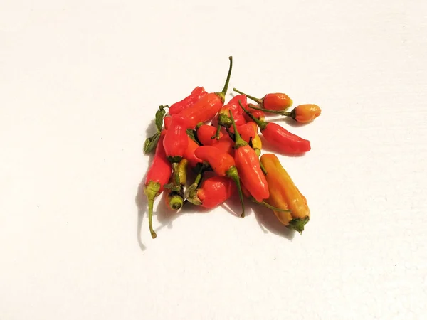 Chili Isolated White Background Chili Fruit Plant Member Genus Capsicum — Foto de Stock