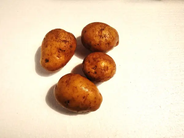 Potato Isolated White Background Potatoes Sweet Potatoes Dutch Yams Bengal — Stockfoto