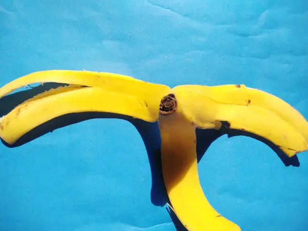 Bananas Blue Background Cold Tone Classification Bananas Kingdom Plantae Division — Photo