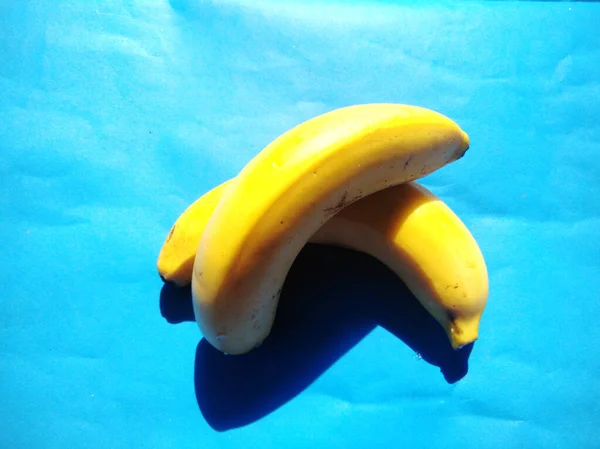 Bananas Blue Background Cold Tone Classification Bananas Kingdom Plantae Division — Photo