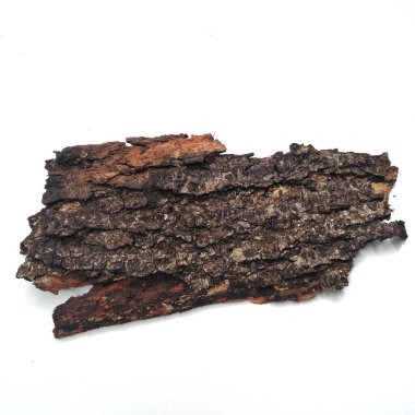 Ağaç kütüğündeki ağaç kabuğunu kaplamak. Yaşlı ağaç. Uzun yıllar. Ağaç kabuğunun fotoğrafını çek. Makro. Çok fonksiyonlu. Bloglar. Makale. arka plan veya arka plan. Ağaç kabuğu beyaz arkaplanda izole edilmiş