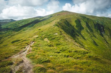 Carpathian mountain trekking trail to green hill top, fluffy clouds in blue sky. Alpine tourist path to the peak view point. Beautiful nature landscape. Traveling, hiking, freedom, active lifestyle.