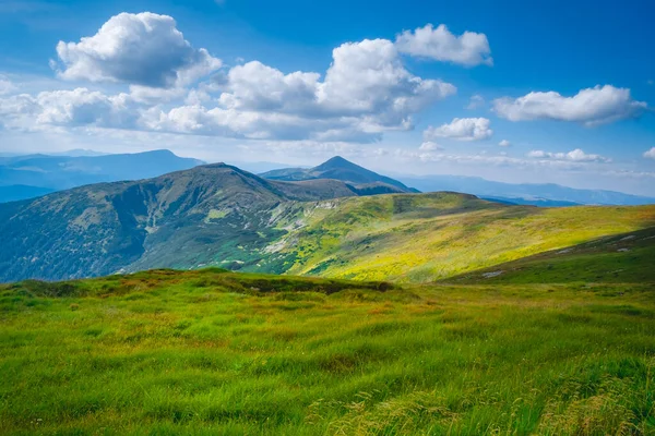 Carpathian mountains landscape. Summer trekking route in alpine highlands range. Green grass meadow, blue sky with white clouds in background. Traveling, hiking, freedom and active lifestyle concept.