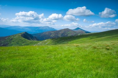 Green grass meadow mountain landscape, blue sky with white clouds in background. Spring morning alpine highland scene. Wilderness area. Travel, adventure, concept image. Carpathian mountains, Ukraine